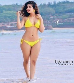 Top Call Girls Sector 88 Noida Escort In Delhi/ Ncr