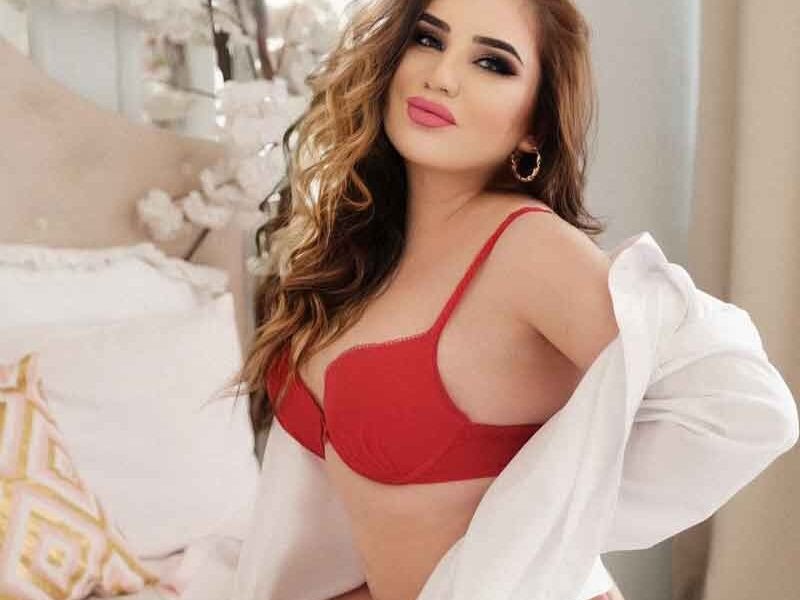 Delhi ncr call girls esrcot services