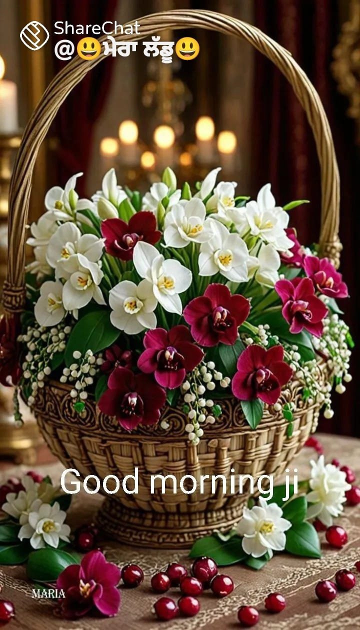 Sarabjit call girl service