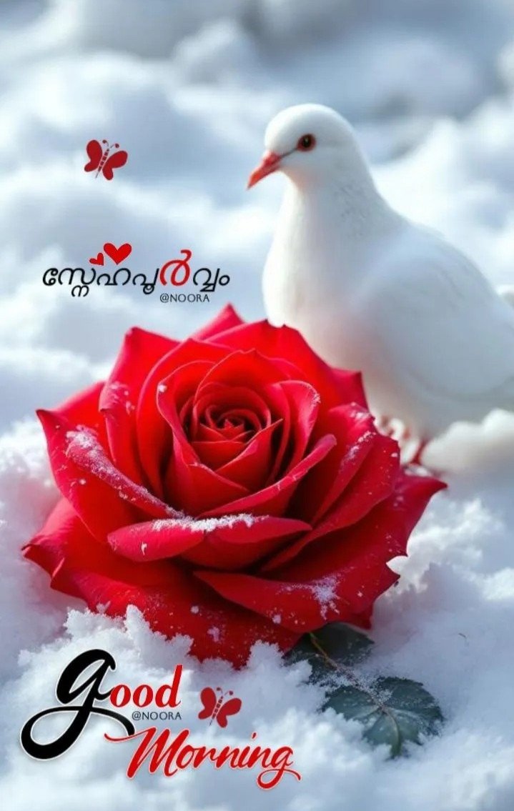 VIP MUSKAN PATEL1HOURS 1500 2 HOURS 2500FULL NIGHT 4500 FULL DAY5000 B...