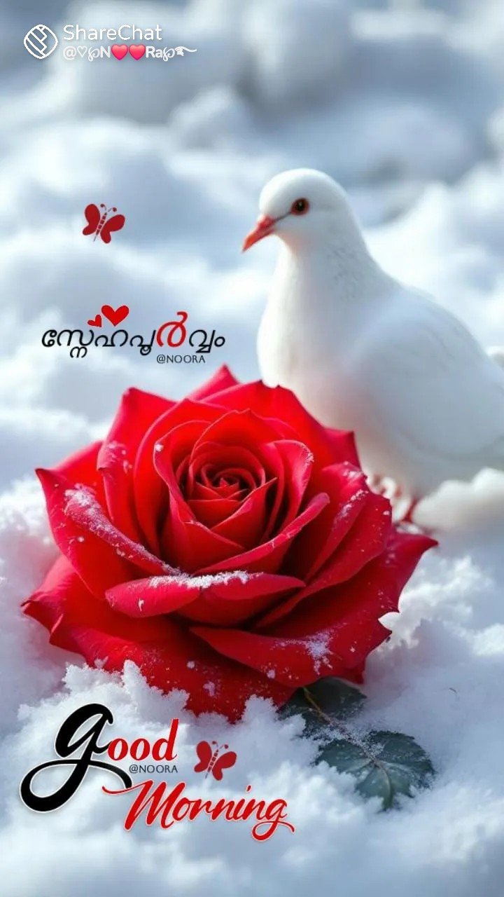 VIP MUSKAN PATEL1HOURS 1500 2 HOURS 2500FULL NIGHT 4500 FULL DAY5000 B...